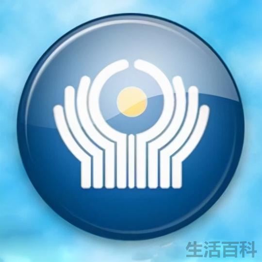常见的国际组织有哪些