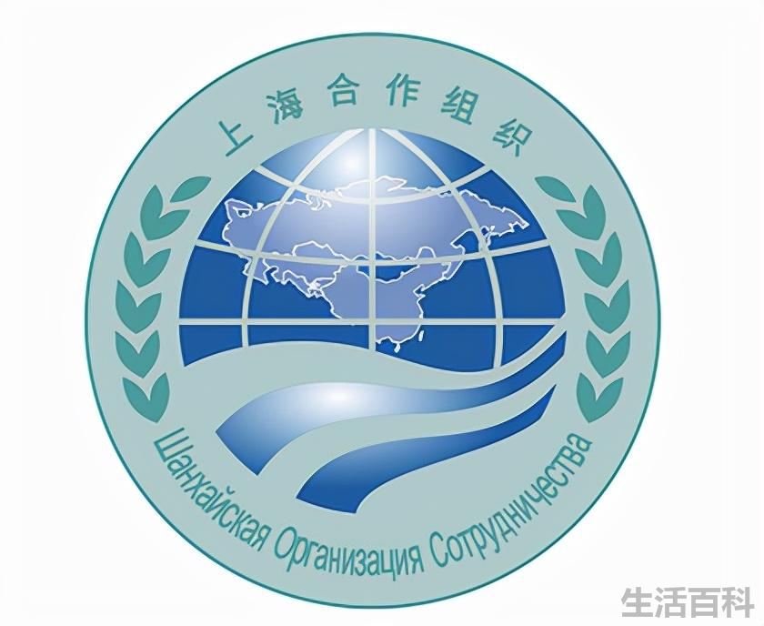 常见的国际组织有哪些