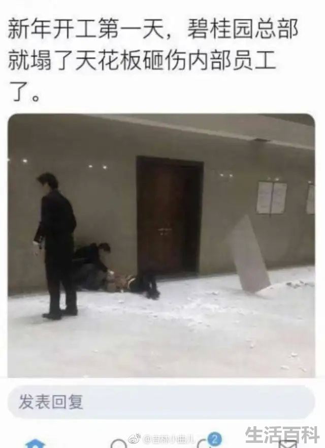 2023碧桂园最近的消息