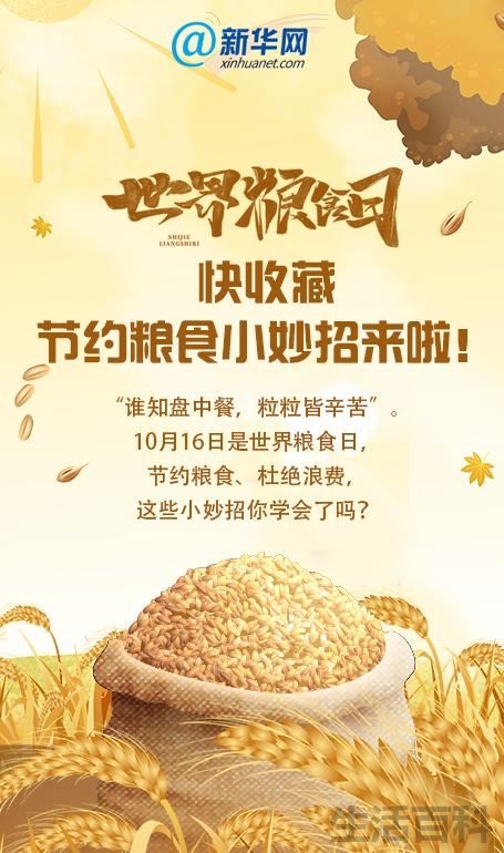 节约粮食的方法10条