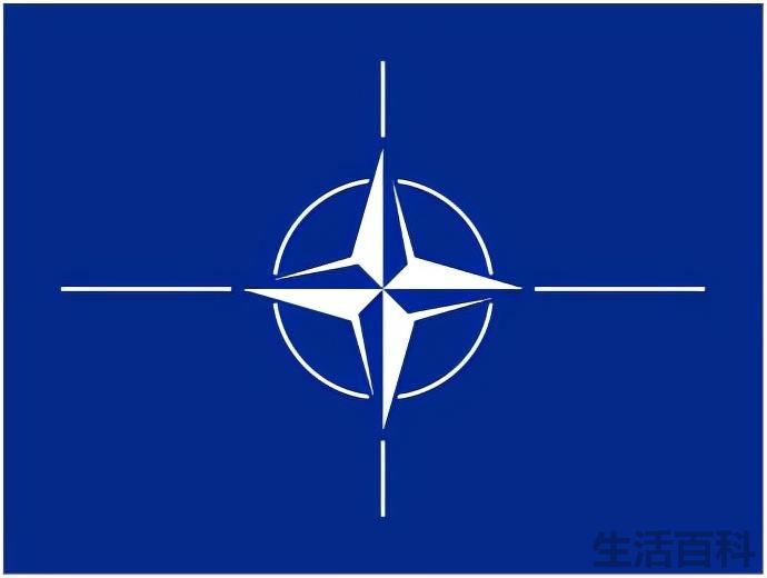 常见的国际组织有哪些