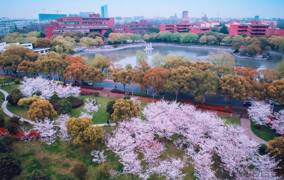 什么是双一流大学