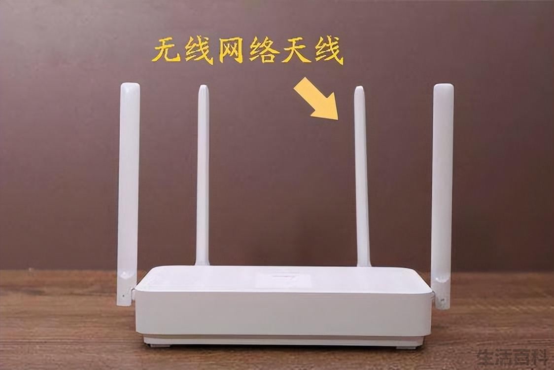 300兆的网速是多少