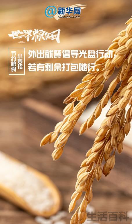 节约粮食的方法10条