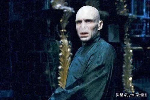 伏地魔是什么意思