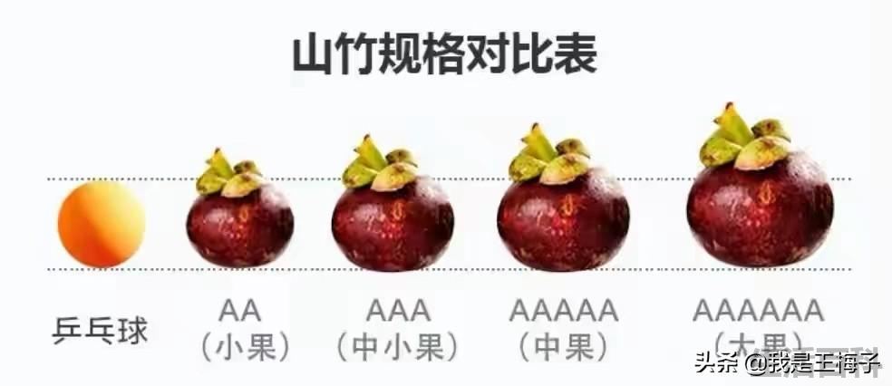 山竹几A代表什么意思