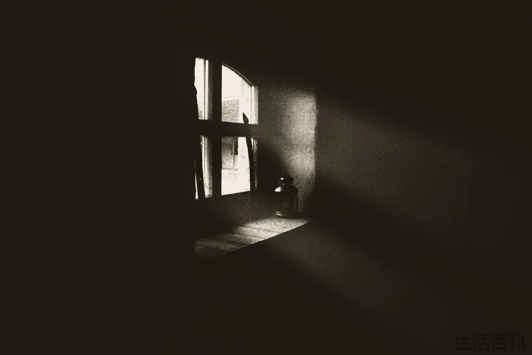 卑鄙者的通行证原文