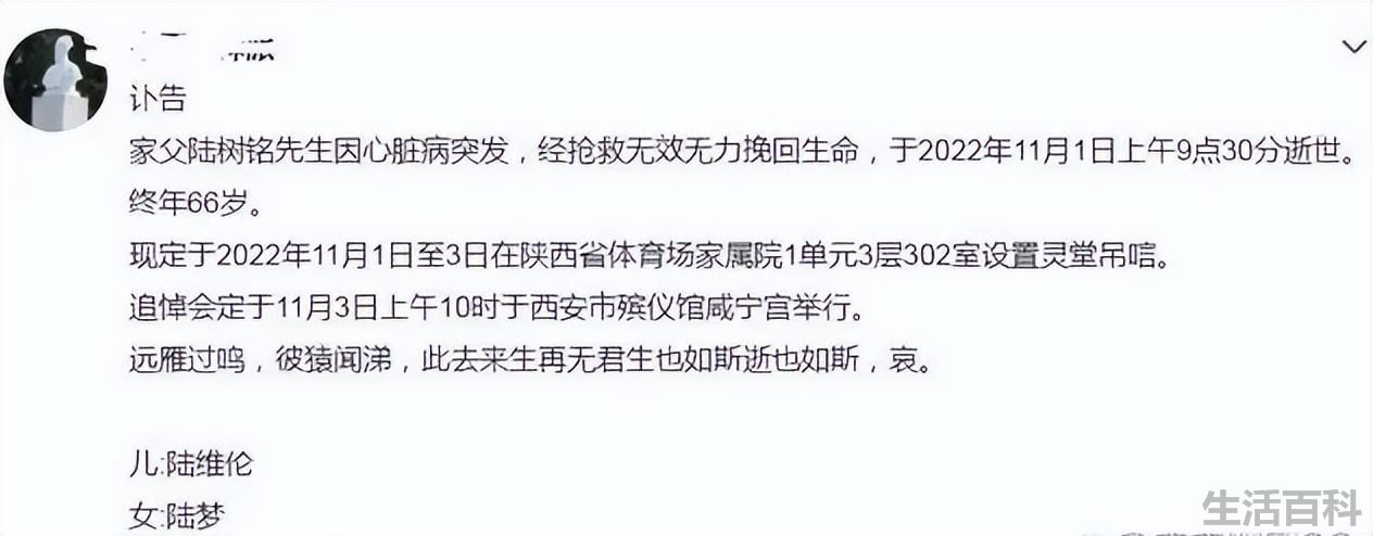 陆树铭简介个人资料
