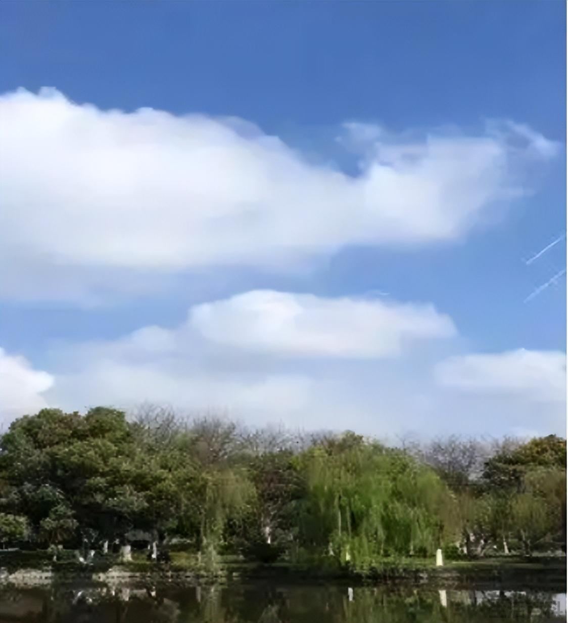 五月不剃头有什么说法
