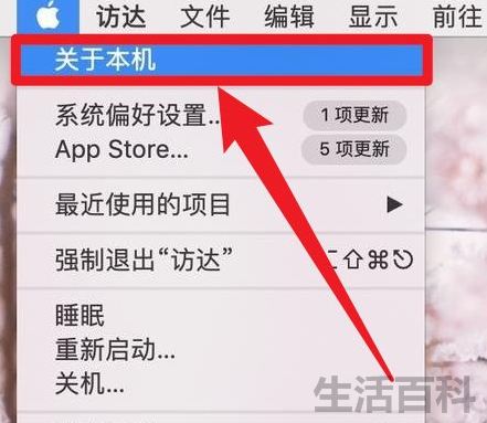 怎么看电脑内存条是几代