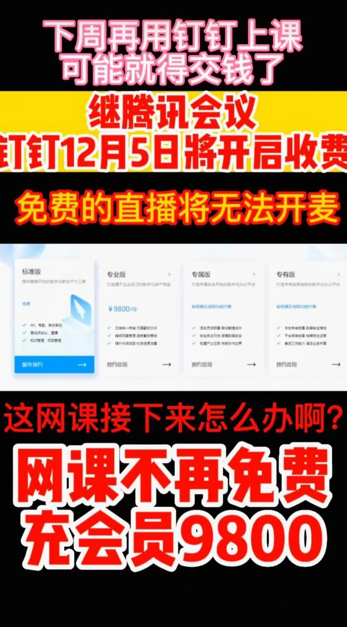 钉钉开通会员多少钱