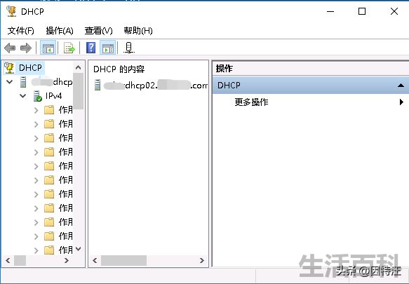 DHCP怎么设置才能上网