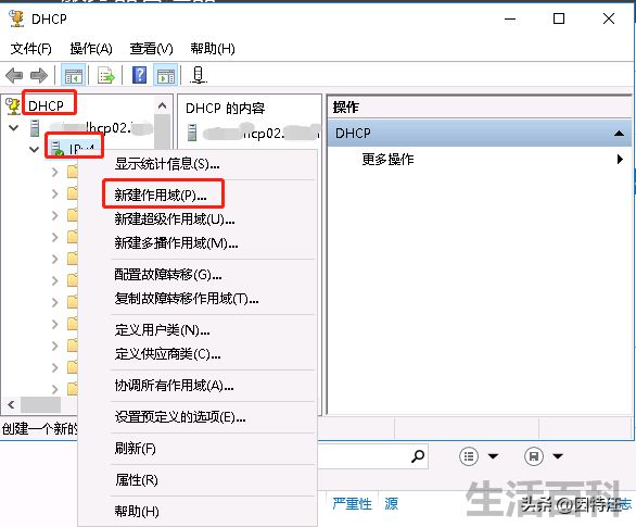 DHCP怎么设置才能上网