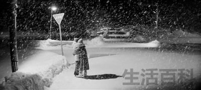 纯爱是什么意思