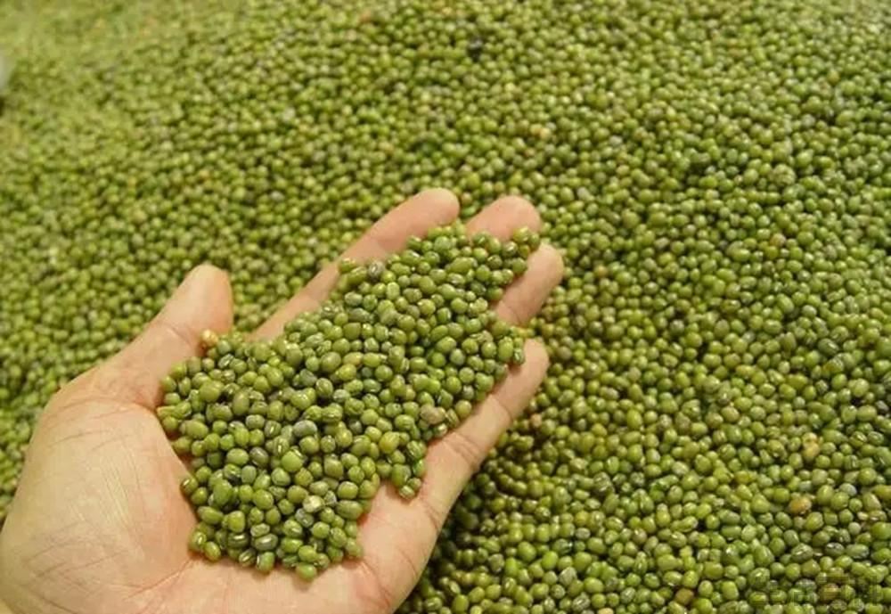 绿豆怎么煮容易烂出沙