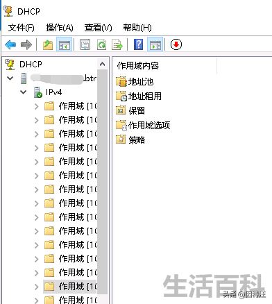 DHCP怎么设置才能上网