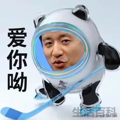 双一流大学排名一览表