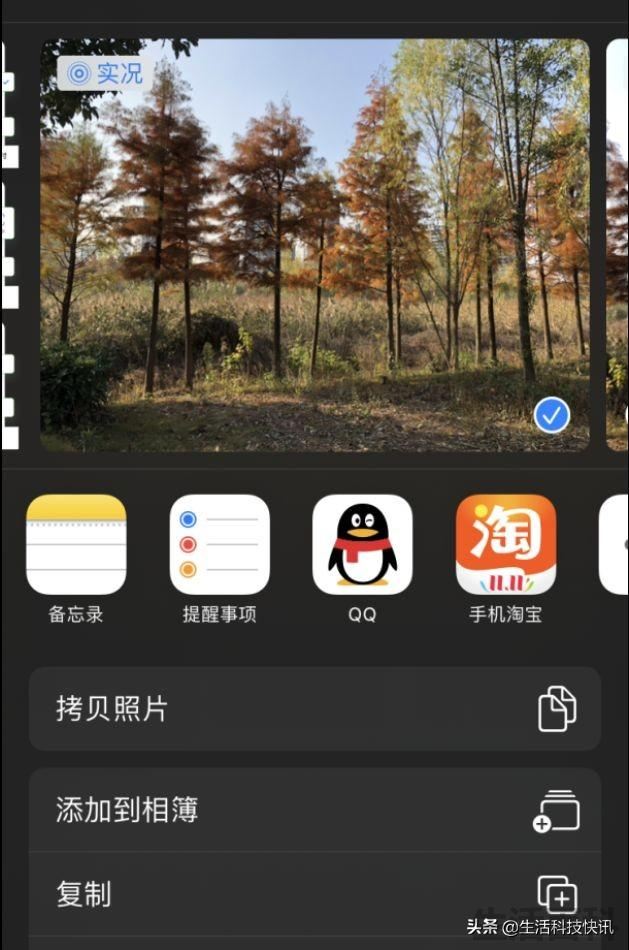 苹果 iPhone实况照片转视频