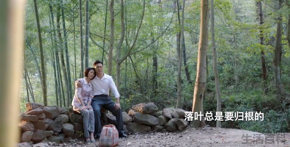 海之谣大结局阿春和谁在一起了