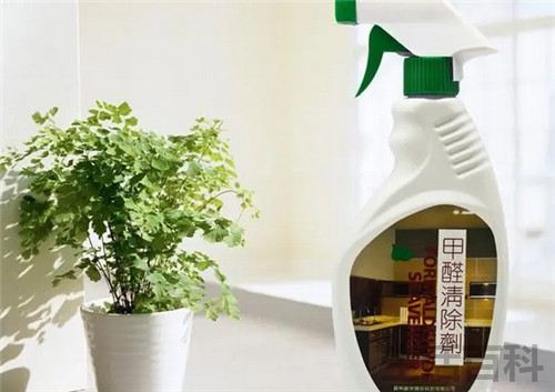 甲醛溶于水吗为什么