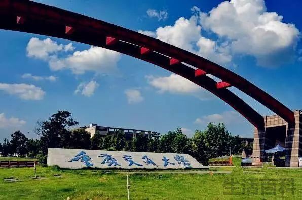 重庆大学排名2023最新排名