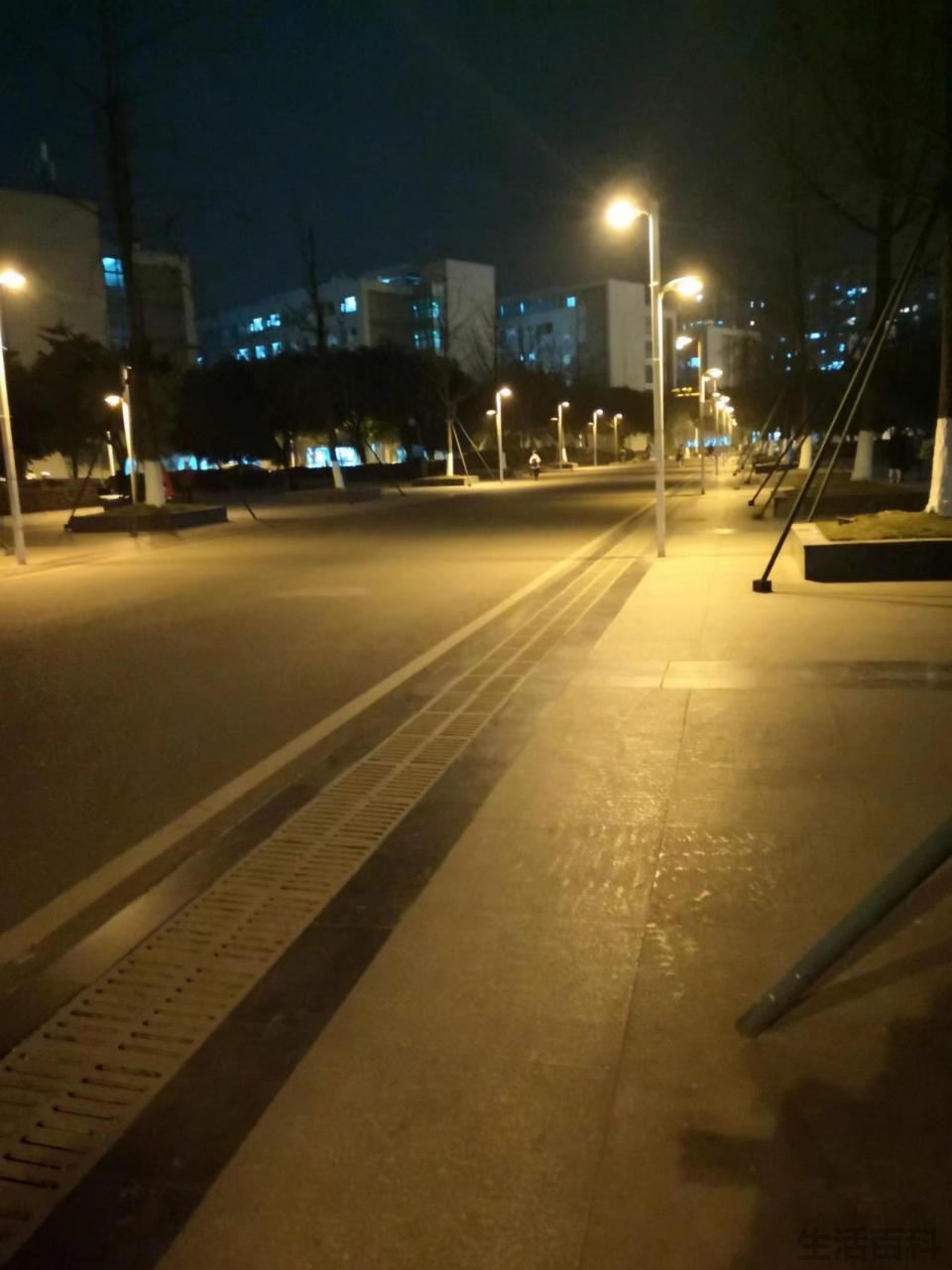 四川农业大学图书馆官网