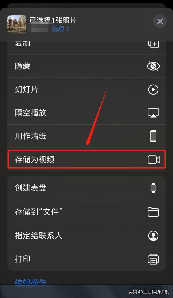 苹果 iPhone实况照片转视频