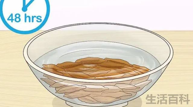 枣核能种出枣树吗