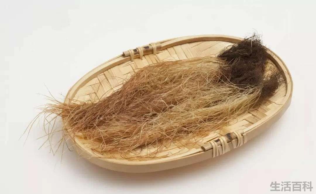 gl是什么意思
