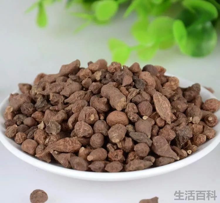 蕨麻怎么吃最好吃