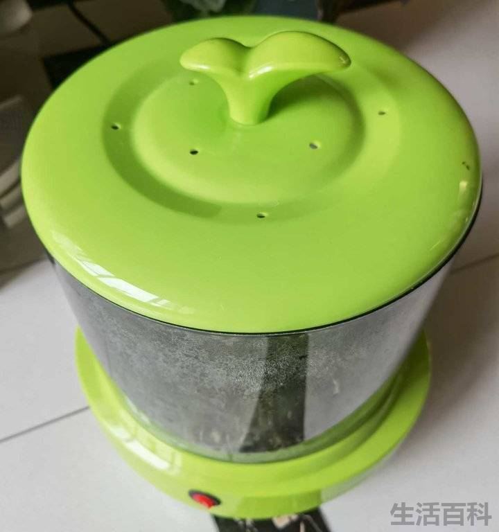 豆芽观察日记七天带图