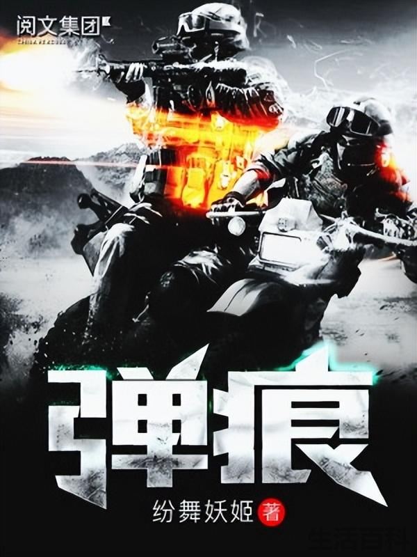 佣兵小说十大排名完结