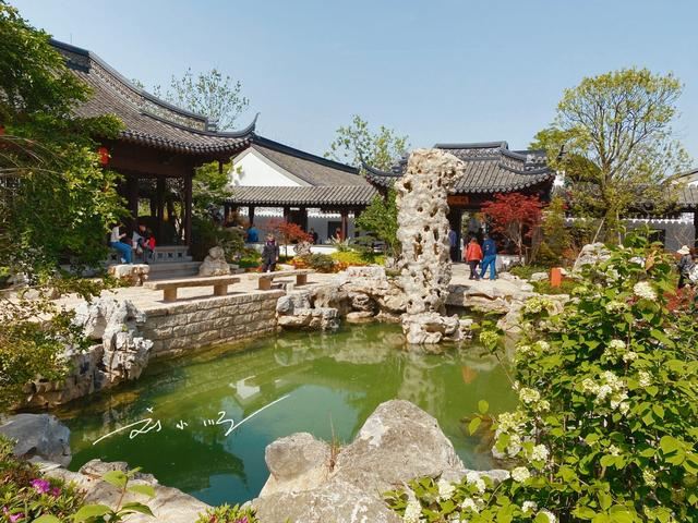 江苏13太保排名