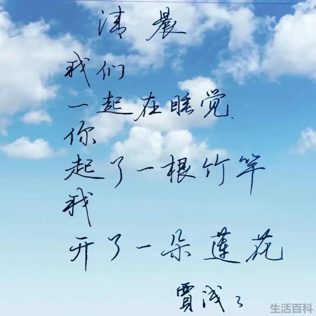 贾浅浅的诗《郎朗》