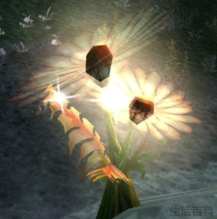 烈焰菇在哪里采