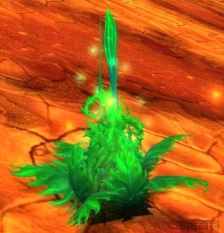 烈焰菇在哪里采