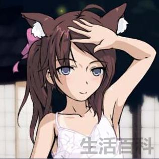 NPC会怀孕的rpg汉化版游戏