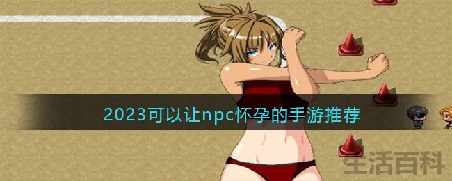 NPC会怀孕的rpg汉化版游戏