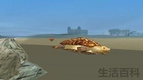 gta5游泳怎么控制