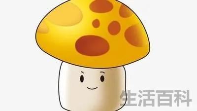 植物大战僵尸僵尸图鉴大全及介绍