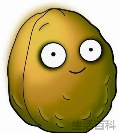 植物大战僵尸僵尸图鉴大全及介绍
