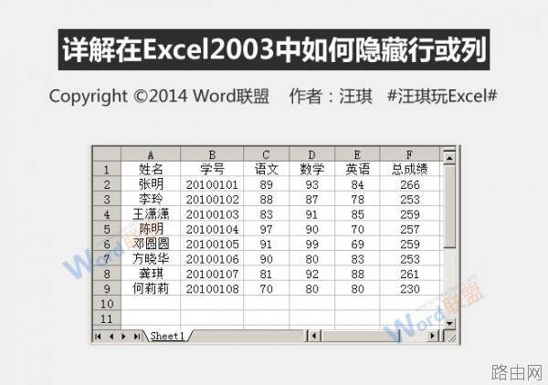 怎么在Excel2003中如何隐藏行或列