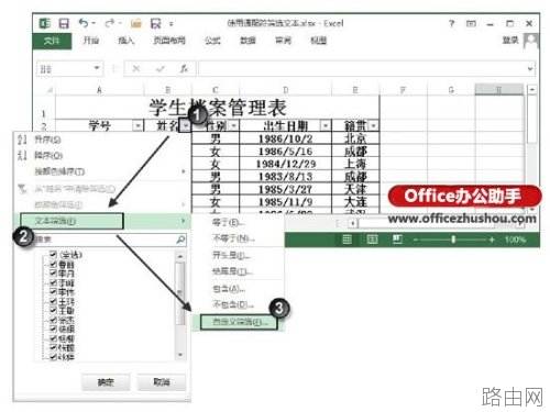 Excel表格中怎么使用通配符筛选文本