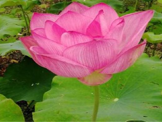芜湖陶辛水韵