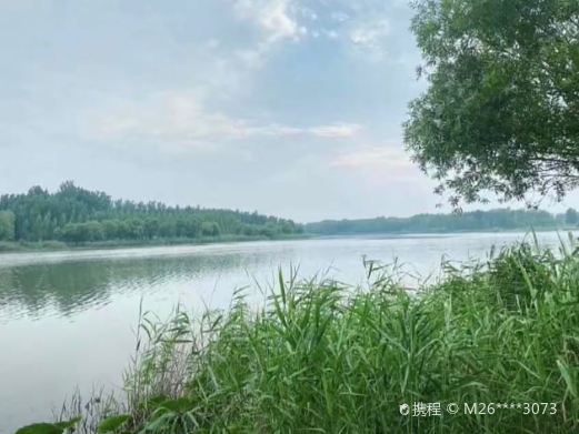 萧县黄河故道湿地公园