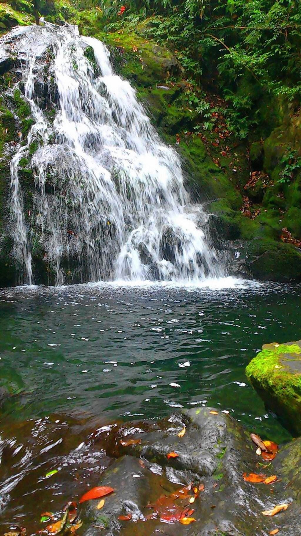 淮南八公山风景区-忘情谷
