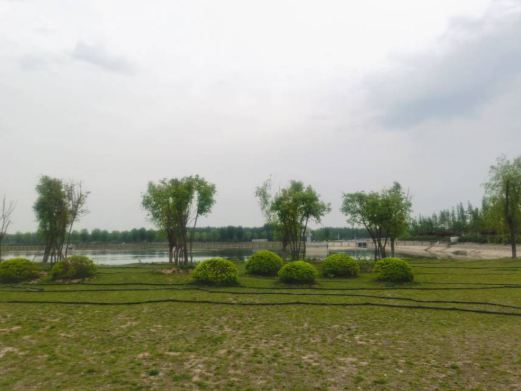 五河县龙湖公园