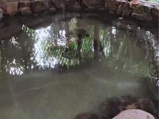 华安假日温泉