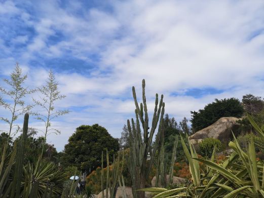 厦门沙生植物区