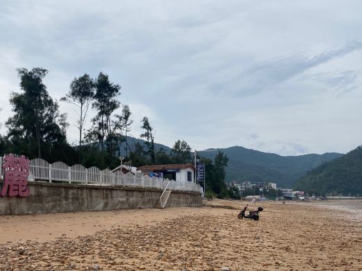霞浦高罗沙滩国家特殊保护林带